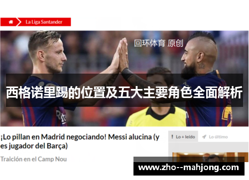 西格诺里踢的位置及五大主要角色全面解析